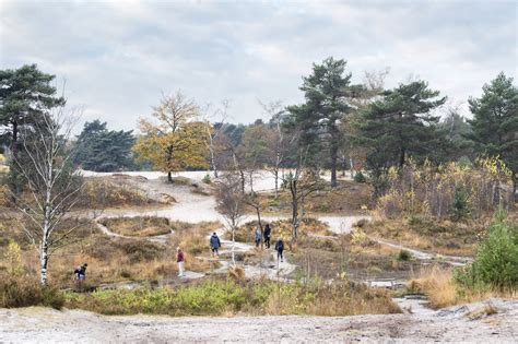 Brunssummerheide
