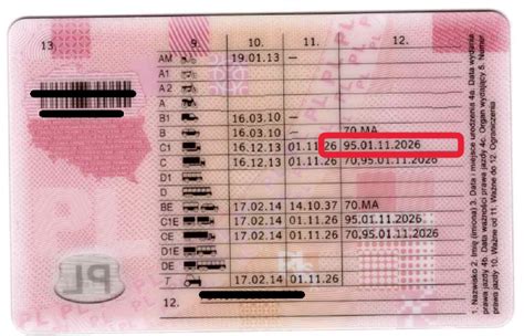 🚚 Rijbewijs C/CE Verlengen: Alle Eisen & Snelste Procedure! 💯 - Hoeveel ...