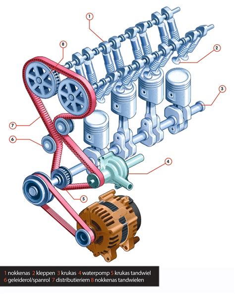 Distributieketting vs Distributieriem