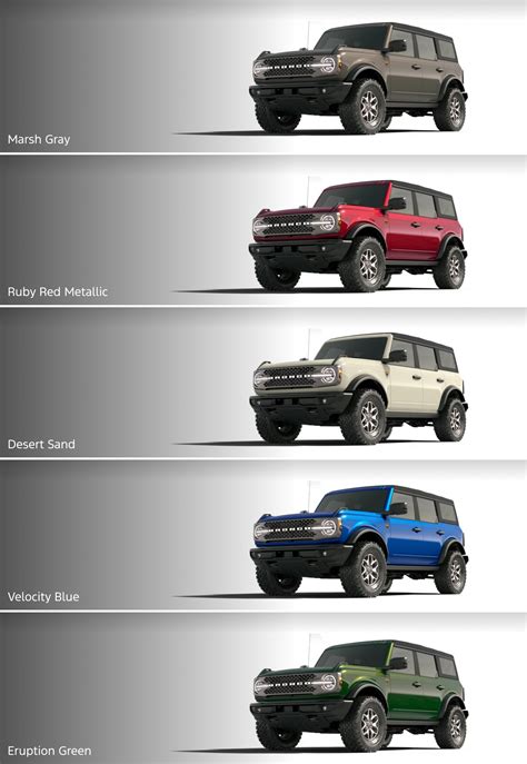 Ford Options