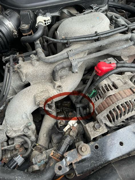 Gescheurde slang uitlaatgasdruksensor