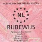 Infographic Rijbewijs vanaf 17 jaar