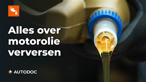 Motorolie Verversen Melding Ford Resetten