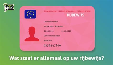 Nieuw rijbewijs infographic