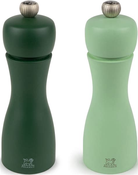 Peugeot Zoutmolen Schoonmaken