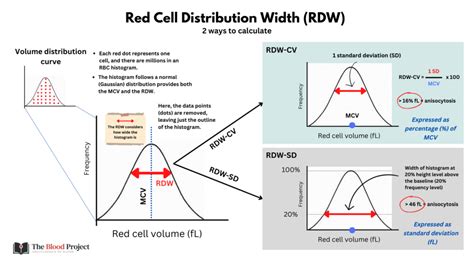 RDW
