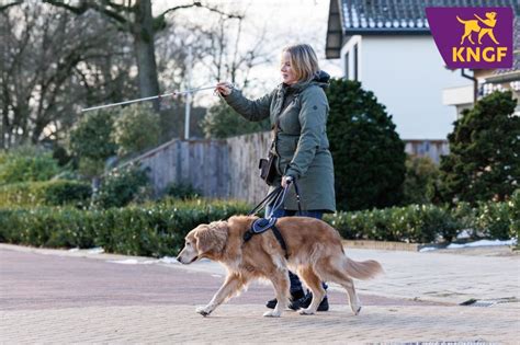Renault Kangoo Z.E. voor KNGF Geleidehonden