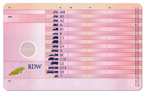 Rijbewijs B+ Code 96
