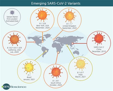SARS-CoV-2 variant emergence