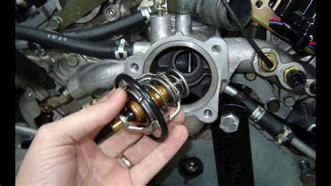 Thermostaat Ford Focus