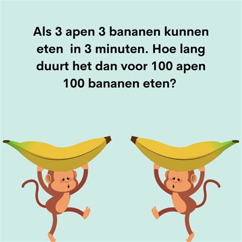 Visuele Vragen