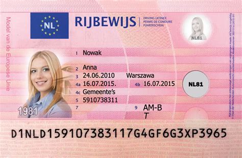 Voorbeeld van een Nederlands Rijbewijs