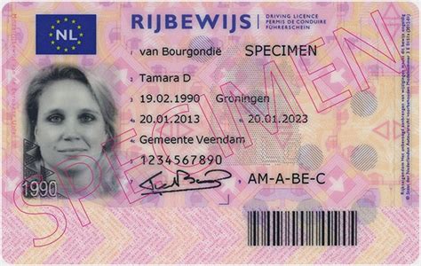 Voorbeeld van een nieuw rijbewijs