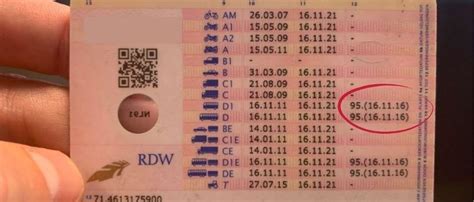 achterkant rijbewijs code 95